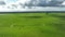 Regenerative agriculture cows in the field, grazing on grass and pasture in Australia, on a farming ranch.