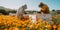 Regenerative Farming. Beekeeper Tending to Beehive in Wildflower Meadow.