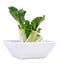 Regrow bok choy