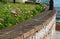 Regular quarter formal flower beds of the French Italian historical garden. boxwoods cut into hedges around the edges bordered. in