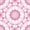 Regular round and delicate ornamental pattern white pink red and violet centered