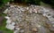 Regulation of poor water flow of the stream when it is necessary to slow down the flow of water in front of the bridge using beams