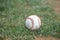 Regulation size baseball resting on infield grass.