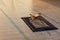 Rehal with open Quran on Muslim prayer mat indoors.