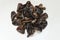 Rehydrated Chinese black wood ear fungus