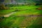 Reil, Germany - 09 22 2021: vineyards covering a small hill with the Mosel to three sides