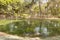 Reina Sofia Park Guardamar del Segura Spain tourist attraction with ducks on the pond