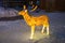 Reindeer Christmas decoration illuminated, lighted acrylic deer figure in winter city park