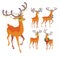 Reindeer Christmas icon. Graceful deer collection.