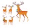 Reindeer Christmas icon. Graceful deer collection.