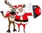 Reindeer Christmas Santa Claus Selfie Hug Isolated