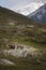 Reindeer couple foraging on the Sarek plains scattered with rock