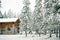 Reindeer at the farm in Finland in Lapland