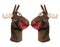 Reindeer Hand Puppets