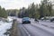 Reindeer herd on the road Sweden