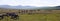 Reindeer herd setting off for pastures in northern Mongolia