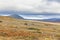 Reindeer herds in Sarek national park, Sweden, selective focus