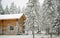 Reindeer near timber house in winter Lapland