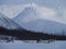 Reindeer Norway Snow Landscape