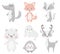 Reindeer, raccoon, seal, wolf, penguin, bear, fox baby winter set. Cute animal illustration