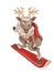 Reindeer that rides on the mountain slopes on a snowboard