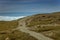 Reindeer running across a dirt road near the Greenlandic icecap, Point 660, Kangerlussuaq, Greenland