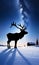 Reindeer Silhouette And A Starry Backdrop In A Snow-Covered Fiel. Generative AI