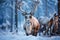 Reindeer in the spring embodying renewal and nature\\\'s seasonal beauty