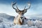 Reindeer in the spring embodying renewal and nature\\\'s seasonal beauty