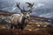 Reindeer in the spring embodying renewal and nature\\\'s seasonal beauty