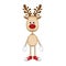 reindeer standing with gloves and shoes