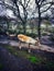 Reindeers in dark winter forest.