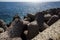 Reinforced concrete fortifications on the beach