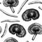 Reishi mushrooms background. Hand-sketched medicinal plant vector drawings. Adaptogenic mushroom seamless pattern. Dried reishi