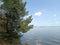 Rekyva forest and lake during cloudy day.