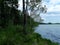 Rekyva forest and lake during sunny summers day