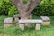 Relax bench under tree