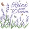 Relax and dream slogan Lavender illustration