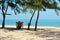 Relax on sun lounger on beach under the palm trees. Enjoy ocean views. picturesque sea landscape. vacation on shore of  blue sea