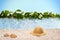 Relaxation at the beach with sunhat and shells in front of a blue lagoon