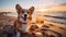 A relaxed Corgi sits on the seashore, savoring a cocktail