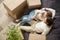 Relaxed couple resting on sofa on moving day, top view