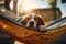 Relaxed dog enjoys hammock lounging during summer holidays