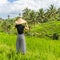 Relaxed fashionable caucasian female tourist wearing small backpack and traditional asian paddy hat looking at beautiful