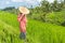 Relaxed fashionable caucasian woman wearing red asian style kimono and traditional asian paddy hat walking amoung