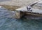 Relaxed fisherman sitting on a wooden bridge