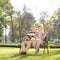 Relaxed mature couple enjoying a sunny day in park