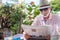 Relaxed moments for a senior retired man sitting and reading a newspaper in the garden. Tropical plants and sunny day