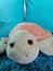 Relaxed plush turtle against blue