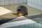 Relaxed seal in the swimmingpool